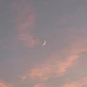 二女一男真人版做爱动态图
